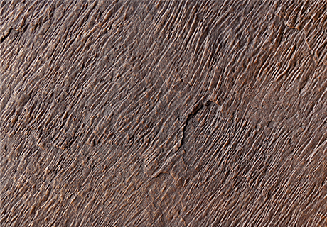 恒峰g22(国际)官网入口-天天有惊喜